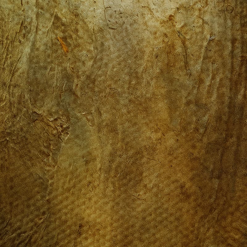 microscope-01