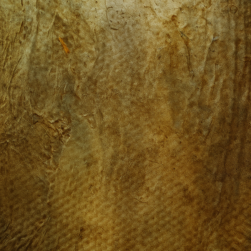 microscope-01